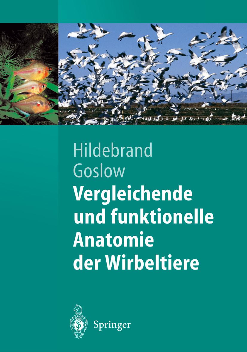 Cover: 9783642623752 | Vergleichende und funktionelle Anatomie der Wirbeltiere | Taschenbuch