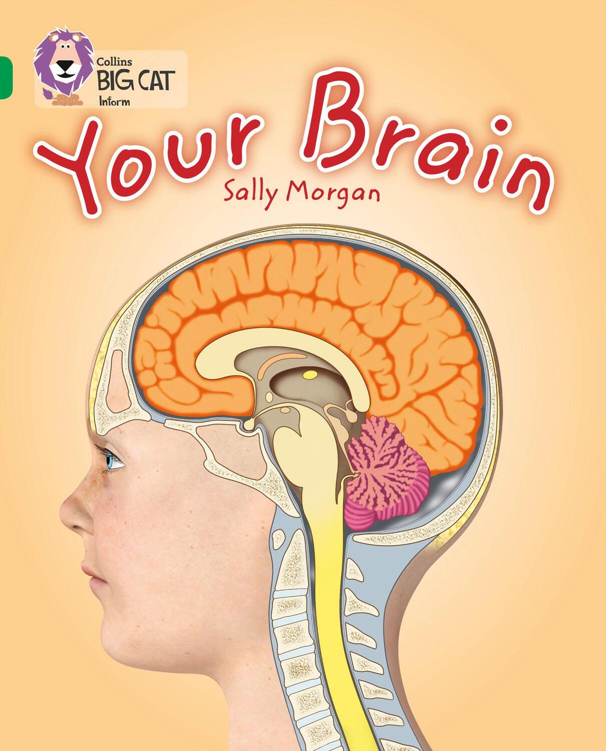 Cover: 9780007465453 | Your Brain | Band 15/Emerald | Sally Morgan | Taschenbuch | Englisch