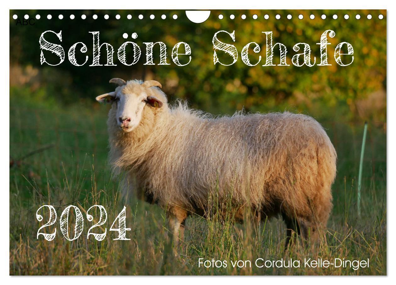 Cover: 9783383697784 | Schöne Schafe (Wandkalender 2024 DIN A4 quer), CALVENDO Monatskalender