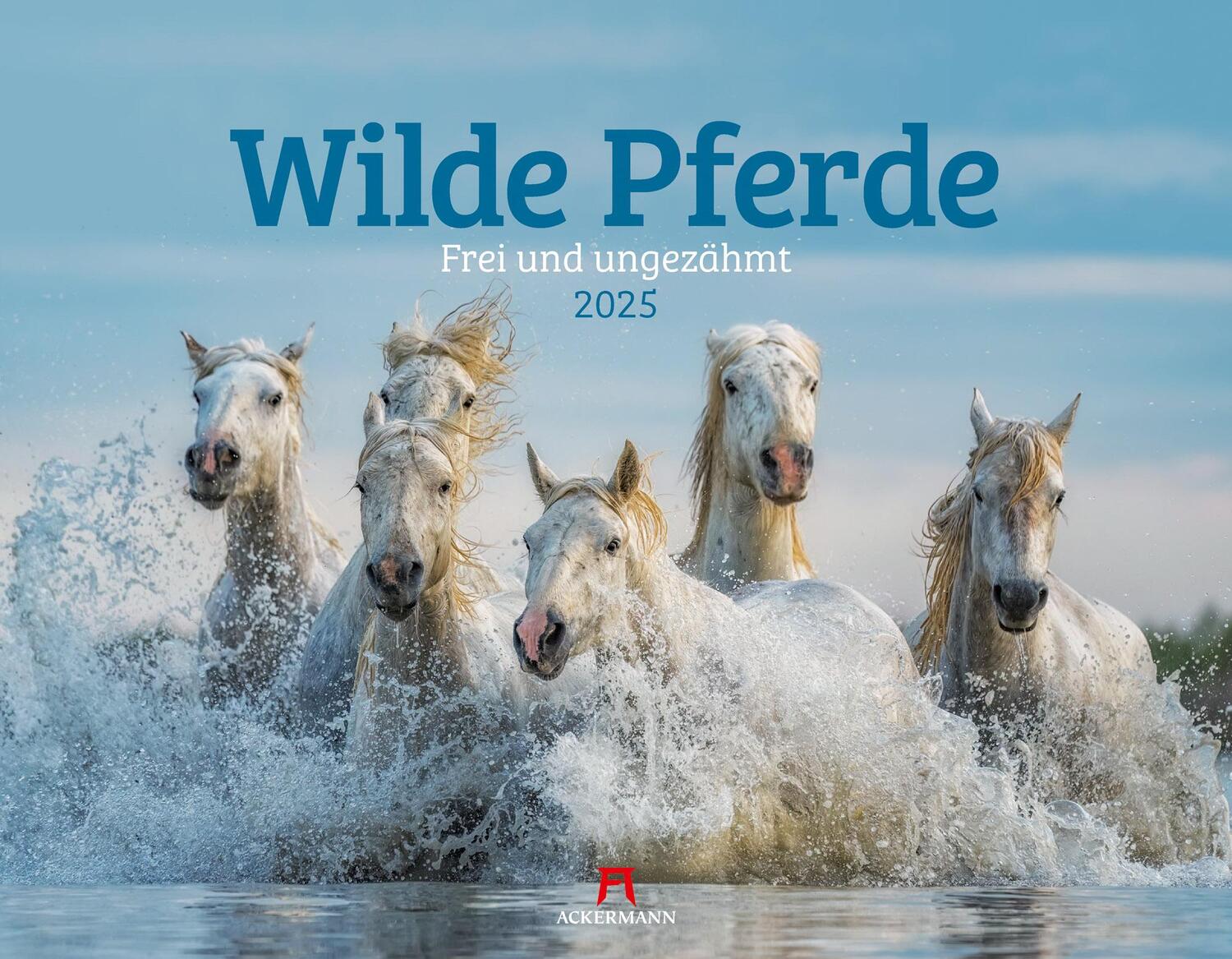 Cover: 9783838435084 | Wilde Pferde Kalender 2025 | Ackermann Kunstverlag | Kalender | 14 S.
