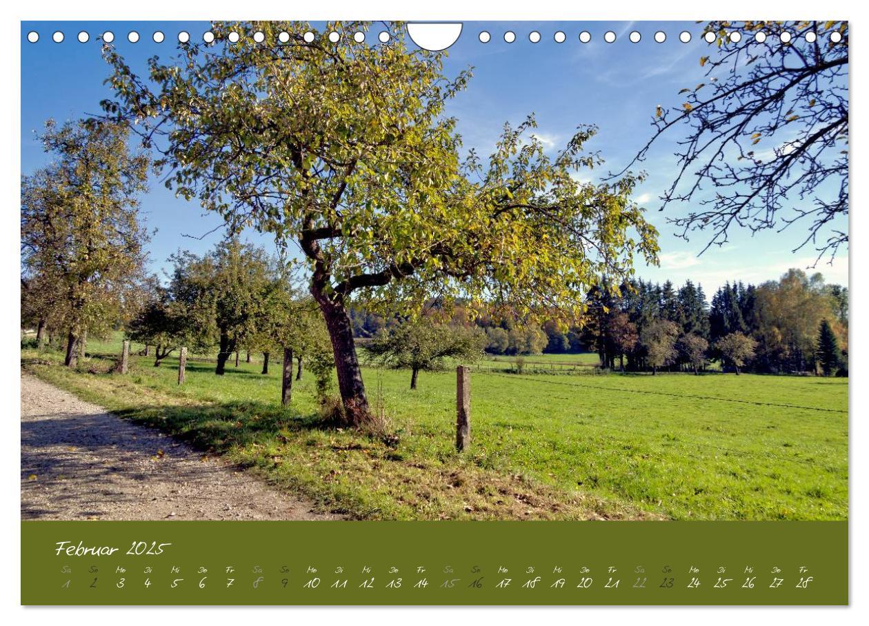 Bild: 9783435515547 | Spaziergang um das Kloster St. Ottilien (Wandkalender 2025 DIN A4...