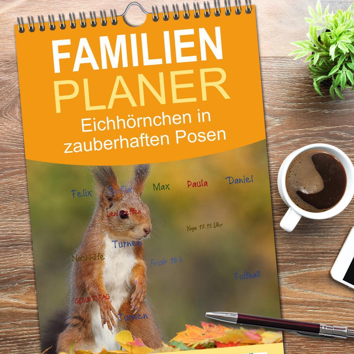 Bild: 9783457109090 | Familienplaner 2025 - Eichhörnchen in zauberhaften Posen mit 5...