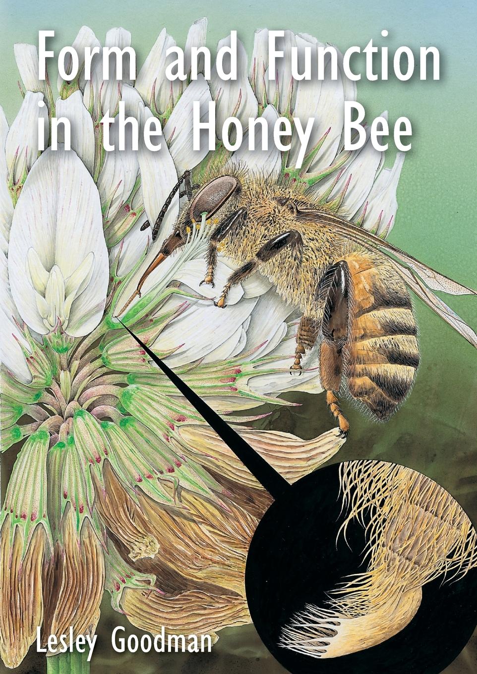 Cover: 9781913811112 | Form and Function in the Honey Bee | Lesley Goodman | Taschenbuch