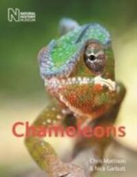 Cover: 9780565092900 | Chameleons | Chris Mattison (u. a.) | Taschenbuch | Englisch | 2012