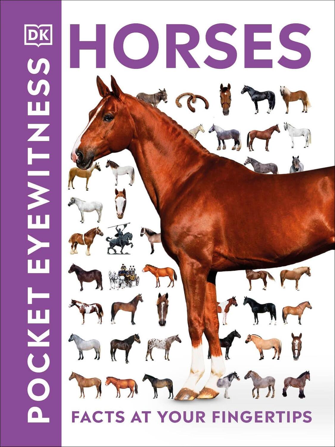 Cover: 9780241343661 | Pocket Eyewitness Horses | Facts at Your Fingertips | Dk | Taschenbuch
