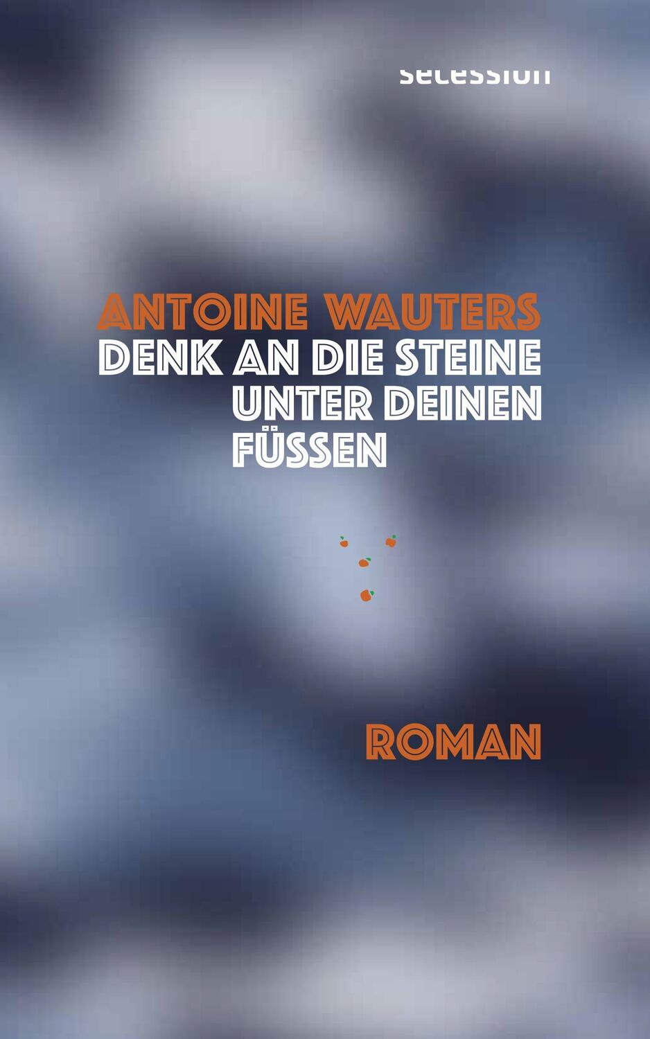 Cover: 9783907336021 | Denk an die Steine unter Deinen Füssen | Roman | Antoine Wauters