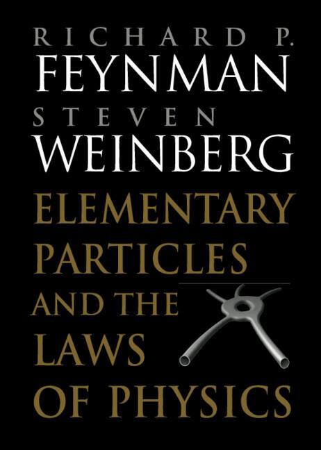 Cover: 9780521658621 | Elementary Particles and the Laws of Physics | Feynman (u. a.) | Buch