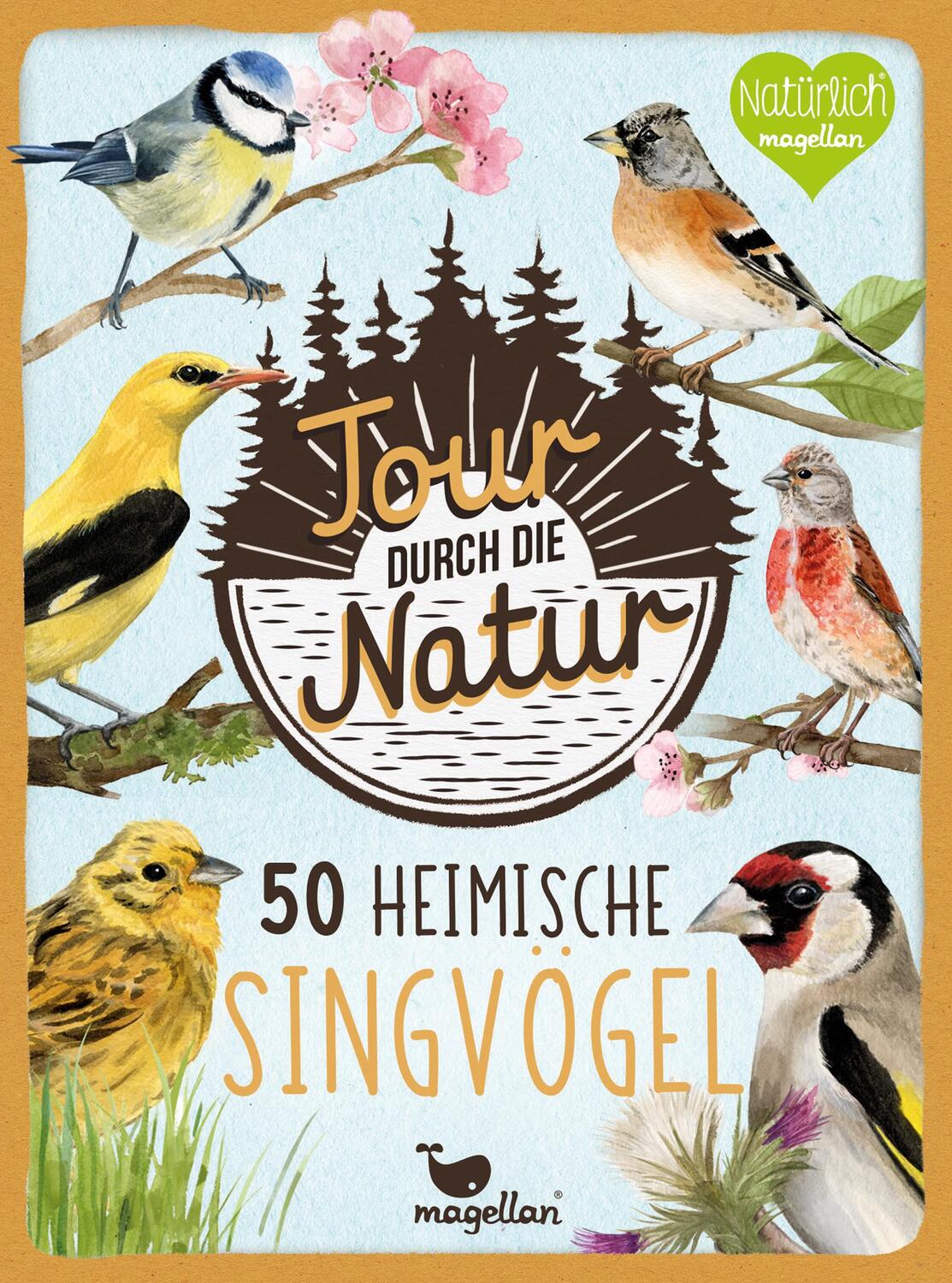 Cover: 4260671131007 | Tour durch die Natur - 50 heimische Singvögel | Taschenbuch | 50 S.