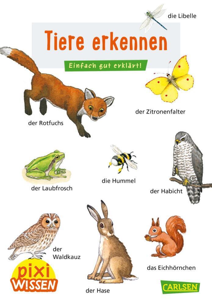 Cover: 9783551242181 | Pixi Wissen 30: Tiere erkennen | Einfach gut erklärt!. Miniaturbuch