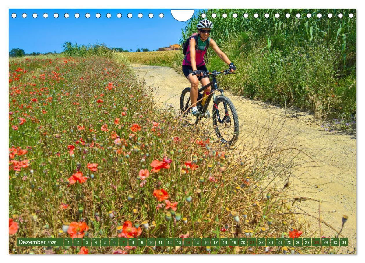 Bild: 9783383934124 | Biken - Impressionen von Rolf Dietz (Wandkalender 2025 DIN A4...