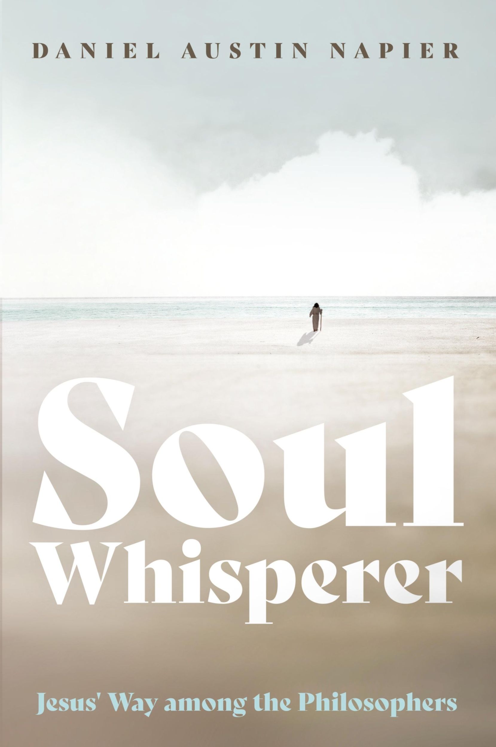 Cover: 9781666768350 | Soul Whisperer | Daniel Austin Napier | Taschenbuch | Paperback | 2023