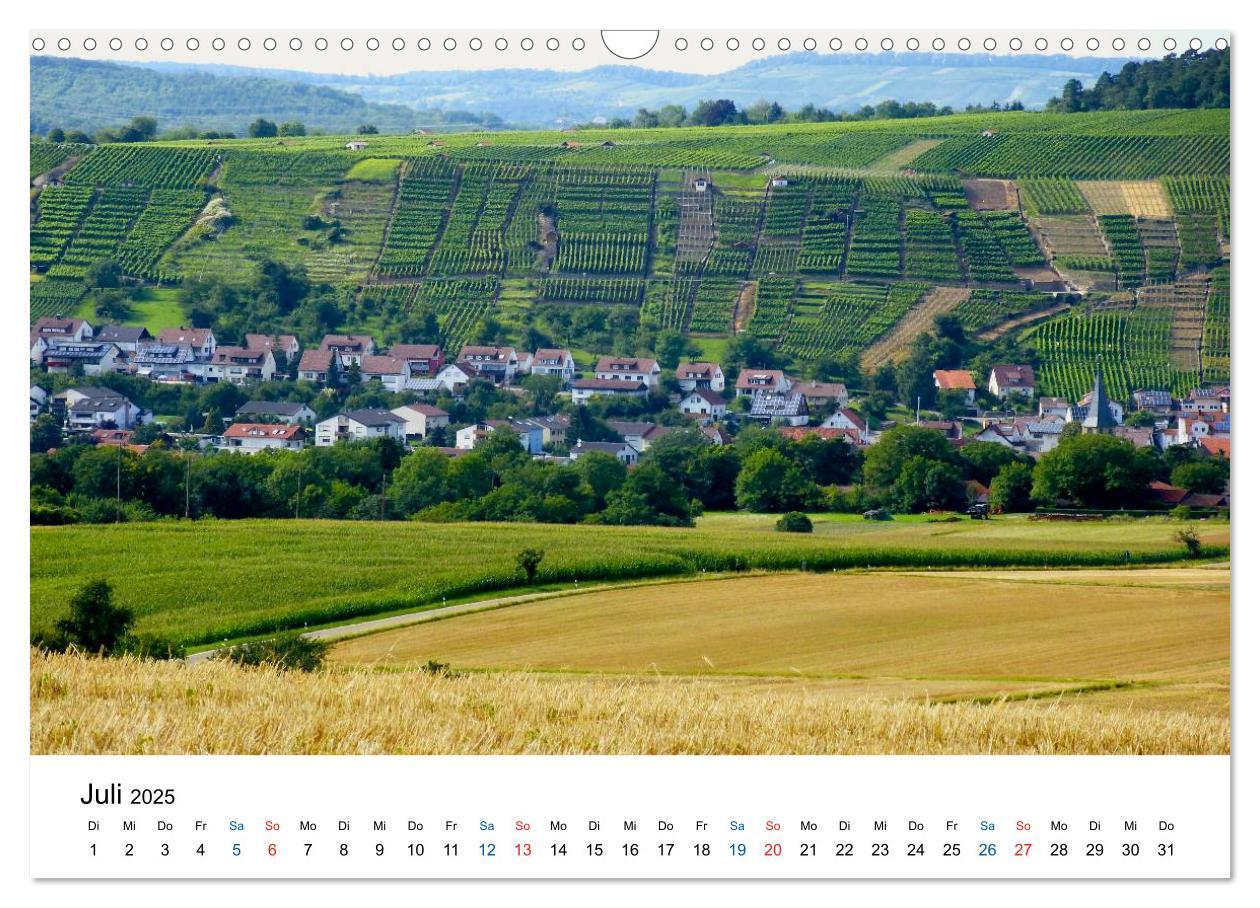 Bild: 9783435804795 | Württemberger Wein 2025 (Wandkalender 2025 DIN A3 quer), CALVENDO...