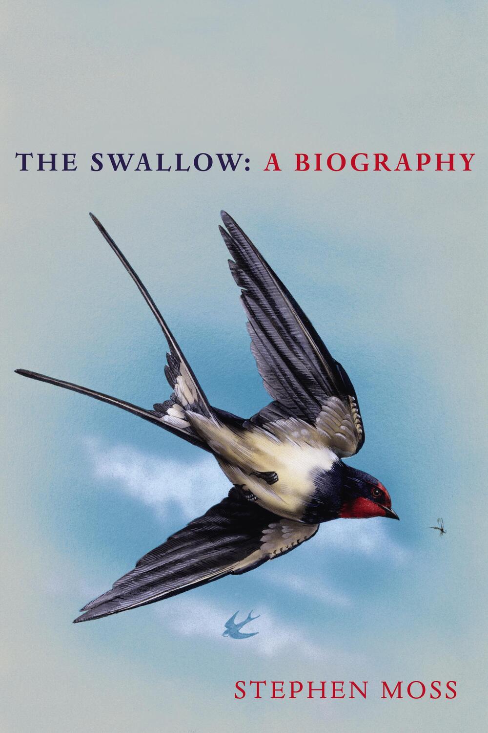 Cover: 9781529110265 | The Swallow | Stephen Moss | Buch | Englisch | 2020