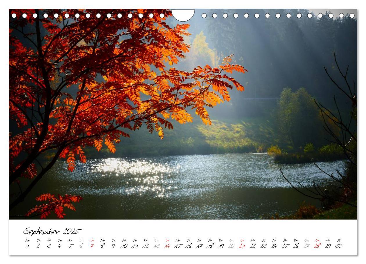 Bild: 9783435750344 | Taunus - Träume (Wandkalender 2025 DIN A4 quer), CALVENDO...