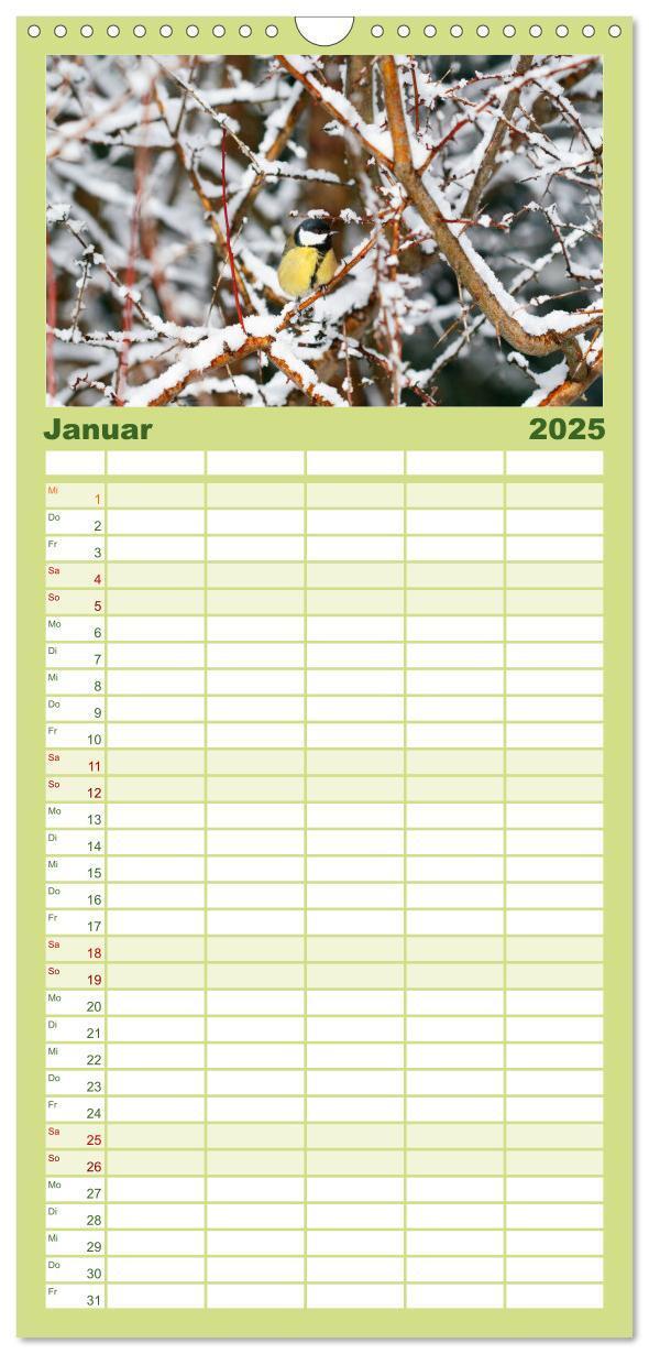 Bild: 9783457100844 | Familienplaner 2025 - Sanfte Natur mit 5 Spalten (Wandkalender, 21...