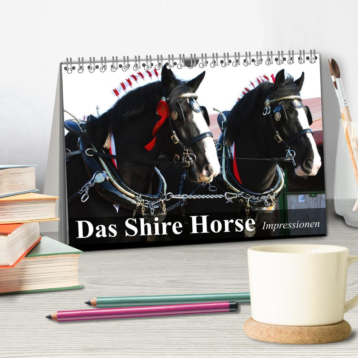 Bild: 9783435534067 | Das Shire Horse. Impressionen (Tischkalender 2025 DIN A5 quer),...