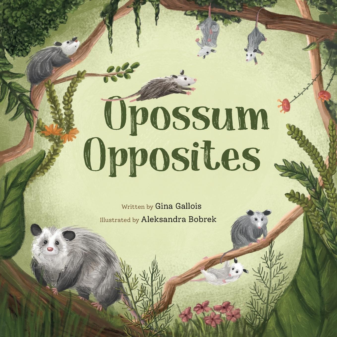 Cover: 9781734542400 | Opossum Opposites | Gina E Gallois | Taschenbuch | Englisch | 2020