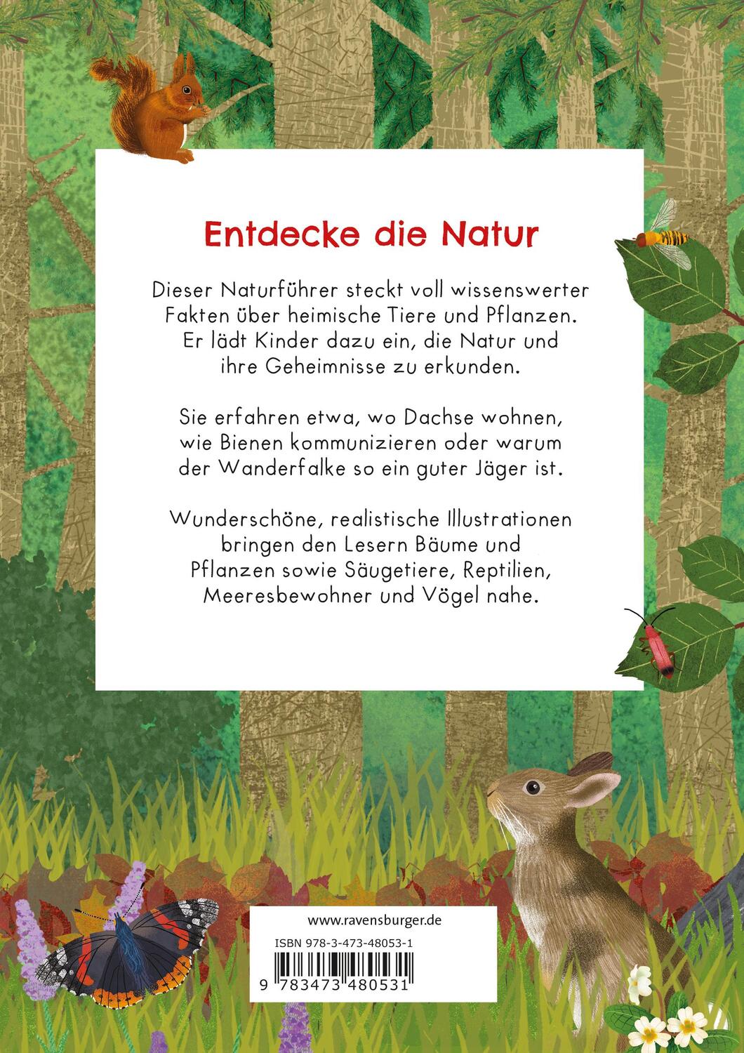 Rückseite: 9783473480531 | Der große Ravensburger Naturführer - Naturwissen für Kinder ab 5...