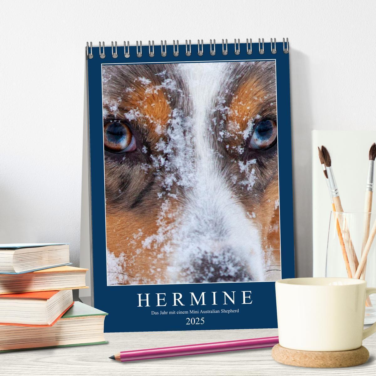 Bild: 9783435928606 | Hermine - Ein Jahr mit einem Mini Australian Shepherd...