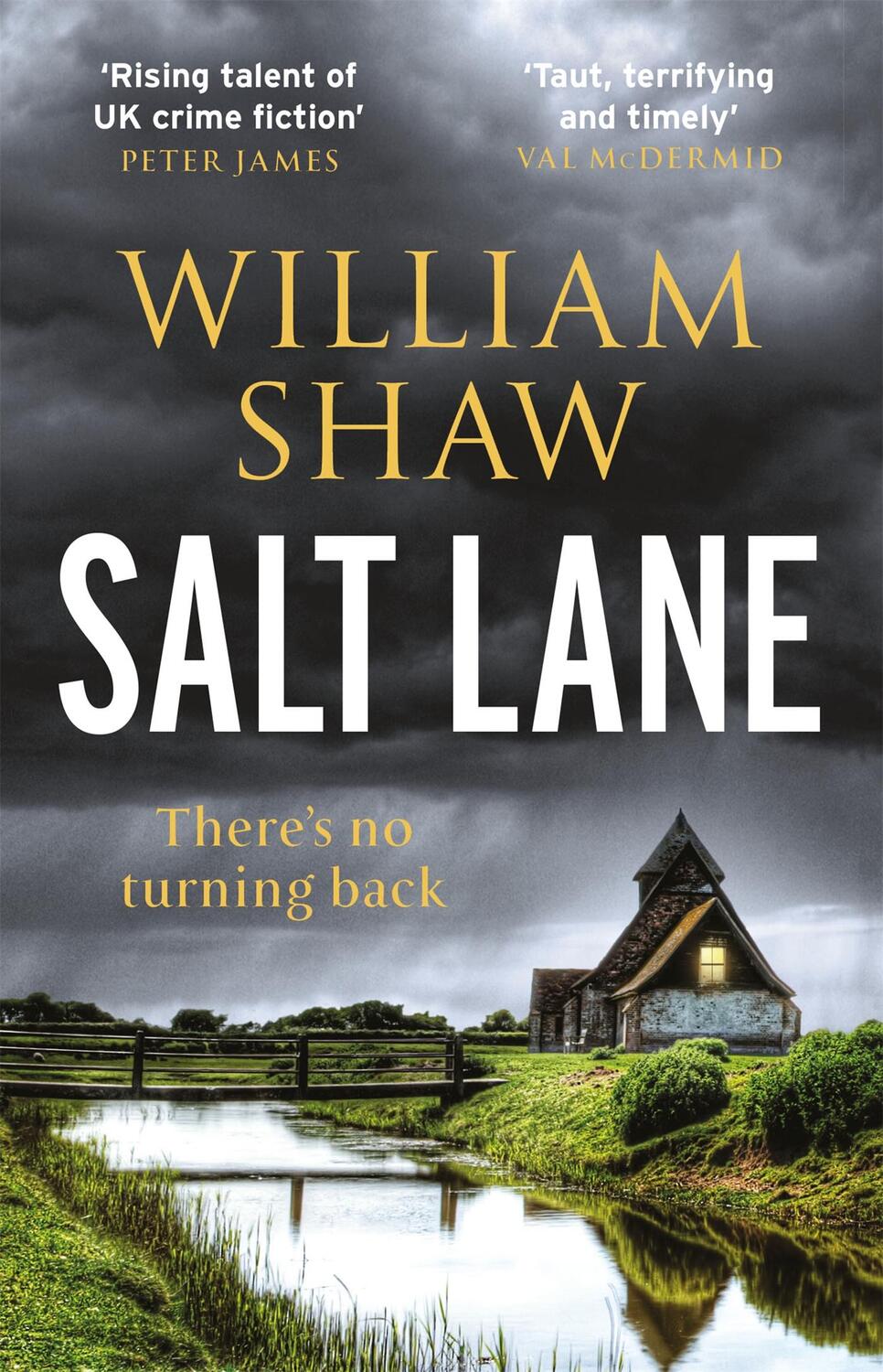 Cover: 9781786486585 | Salt Lane | William Shaw | Taschenbuch | 480 S. | Englisch | 2019