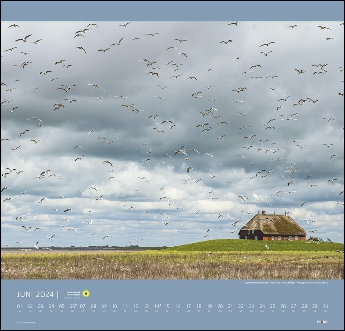 Bild: 9783964022714 | Nationalpark Wattenmeer Kalender 2024. Großer Foto-Wandkalender....