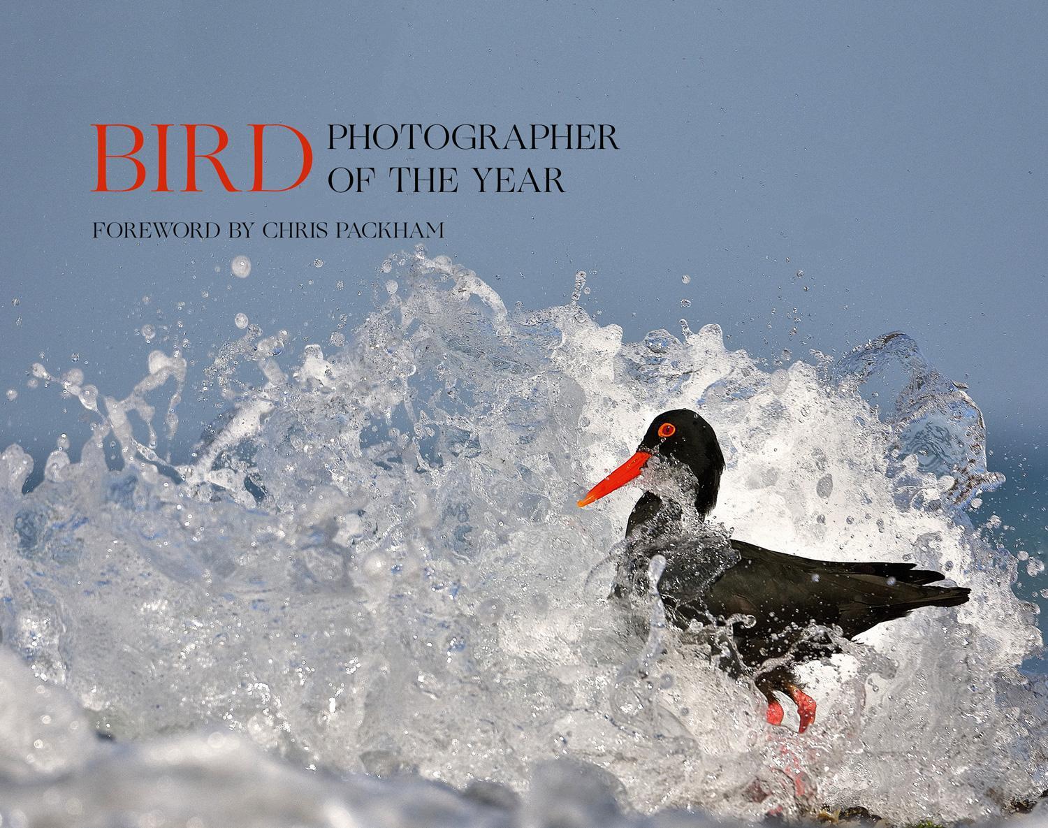 Cover: 9780008336202 | Bird Photographer of the Year | Collection 5 | Year | Buch | Gebunden
