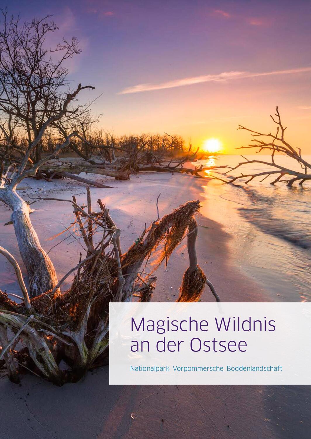 Cover: 9783356019858 | Magische Wildnis an der Ostsee | Jan Baginski | Buch | Deutsch | 2015