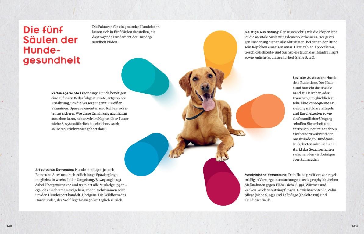 Bild: 9783946658870 | Oh Happy Dog! | smarticular Verlag | Buch | 176 S. | Deutsch | 2023