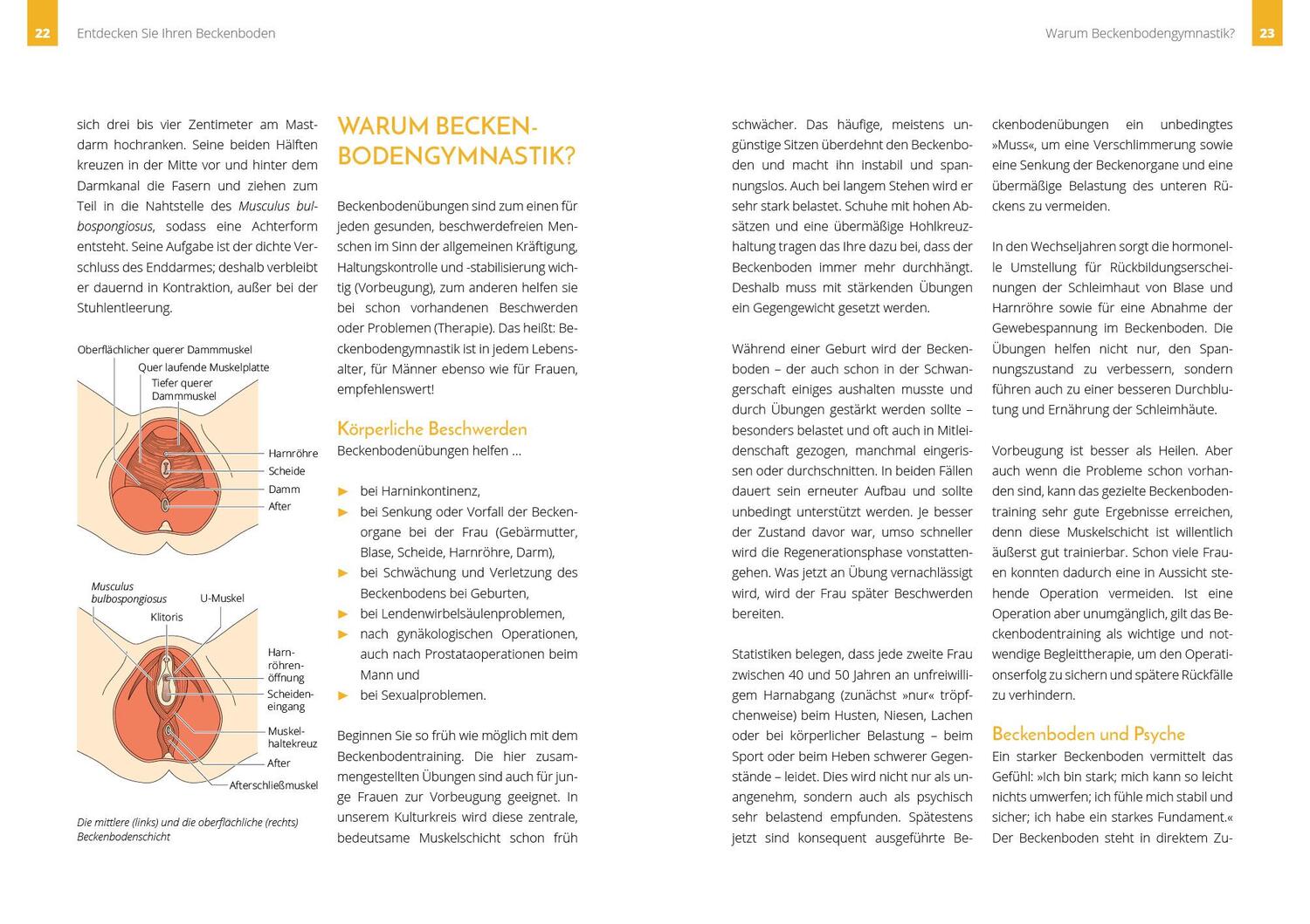 Bild: 9783742317056 | Starker Beckenboden | Heike Höfler | Taschenbuch | 4-farbig | 176 S.