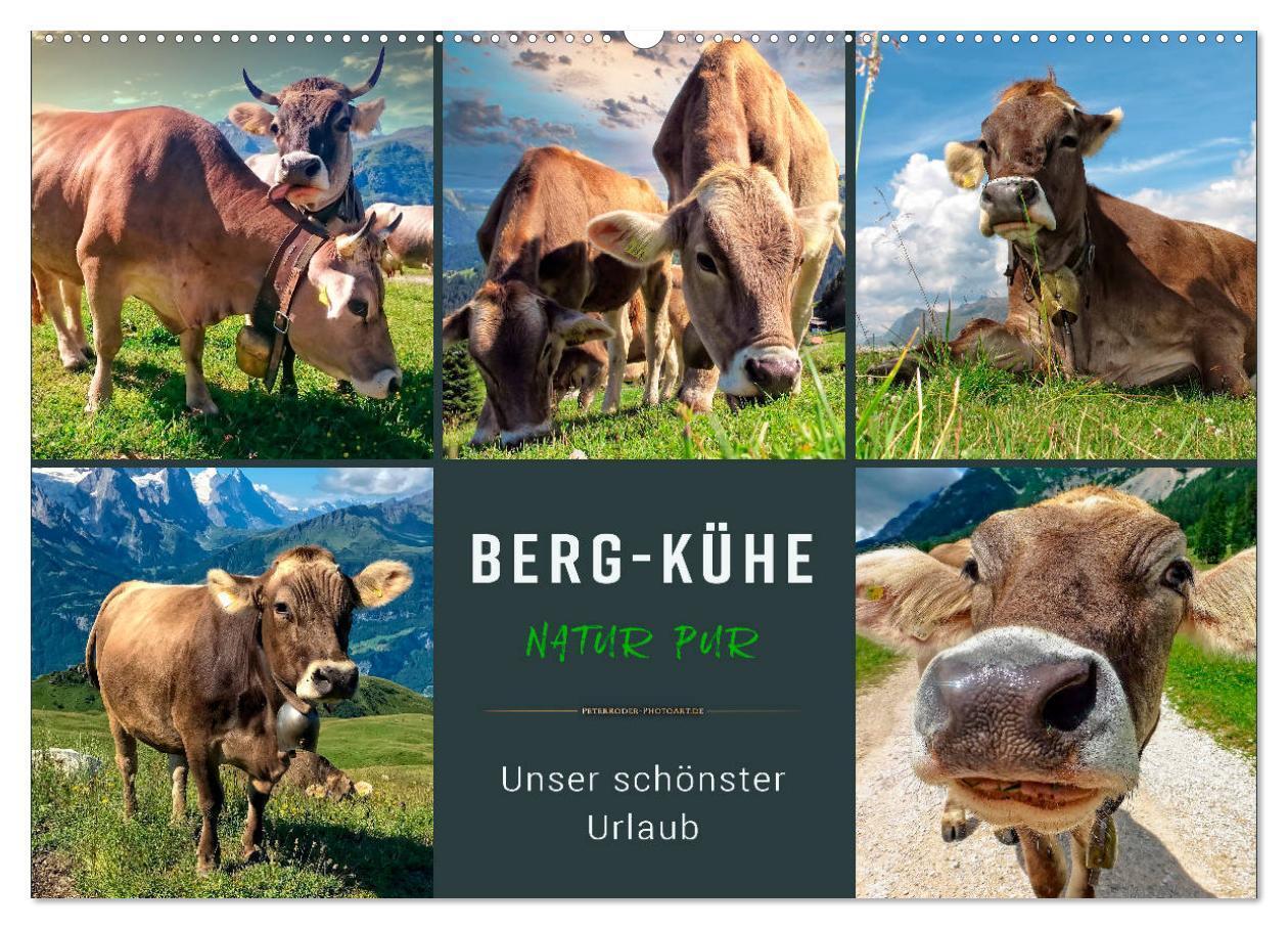 Cover: 9783435119028 | Berg-Kühe, Natur pur - unser schönster Urlaub (Wandkalender 2025...