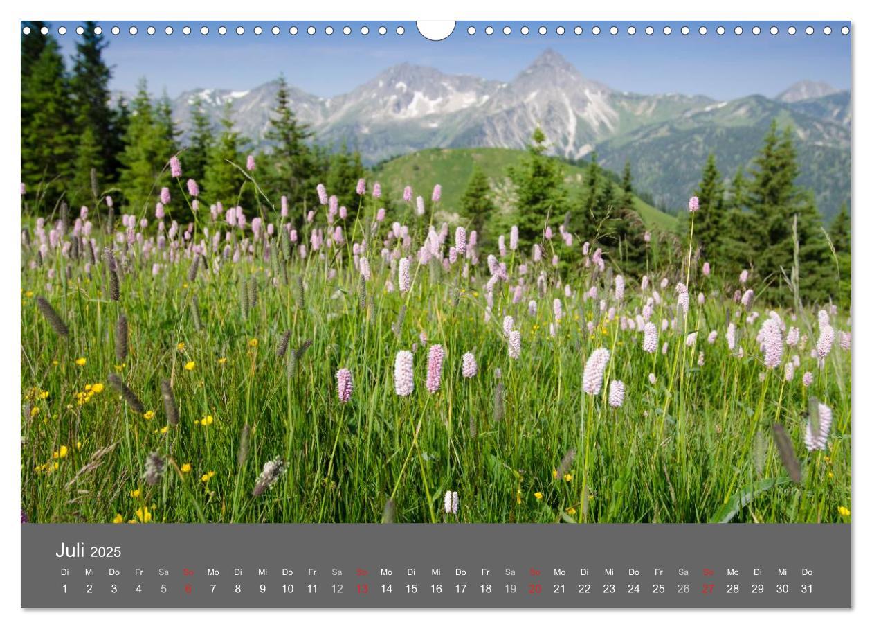 Bild: 9783435728602 | Tannheimer Tal (Wandkalender 2025 DIN A3 quer), CALVENDO...