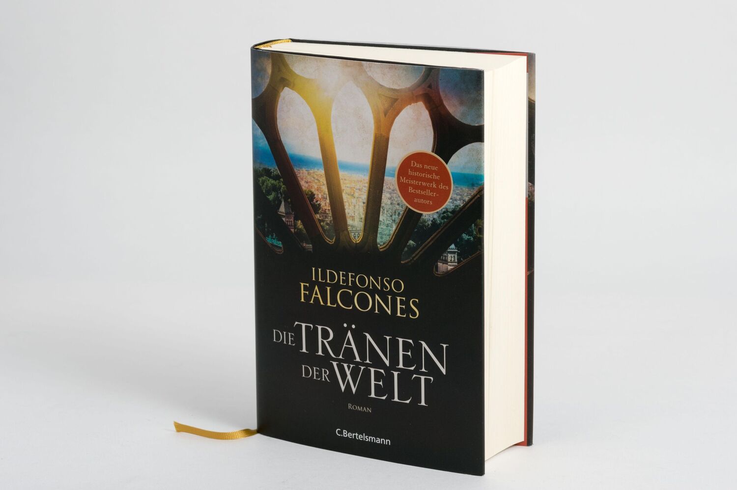 Bild: 9783570104262 | Die Tränen der Welt | Historischer Roman | Ildefonso Falcones | Buch