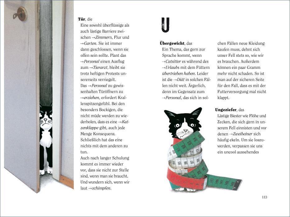 Bild: 9783458363057 | Wie wir Katzen die Welt sehen | Hermien Stellmacher (u. a.) | Buch