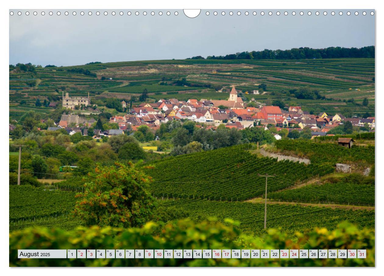 Bild: 9783435350377 | Weinregion Kaiserstuhl (Wandkalender 2025 DIN A3 quer), CALVENDO...