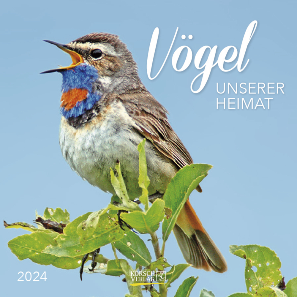 Cover: 9783731869337 | Vögel 2024 | Korsch Verlag | Kalender | Englisch Broschur | 13 S.