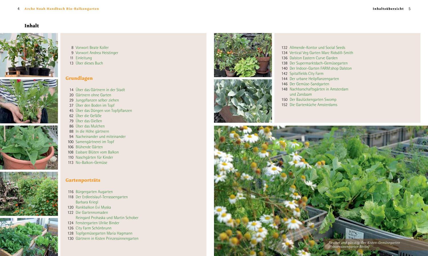 Bild: 9783706624947 | Handbuch Bio-Balkongarten | Andrea Heistinger | Buch | Deutsch | 2012