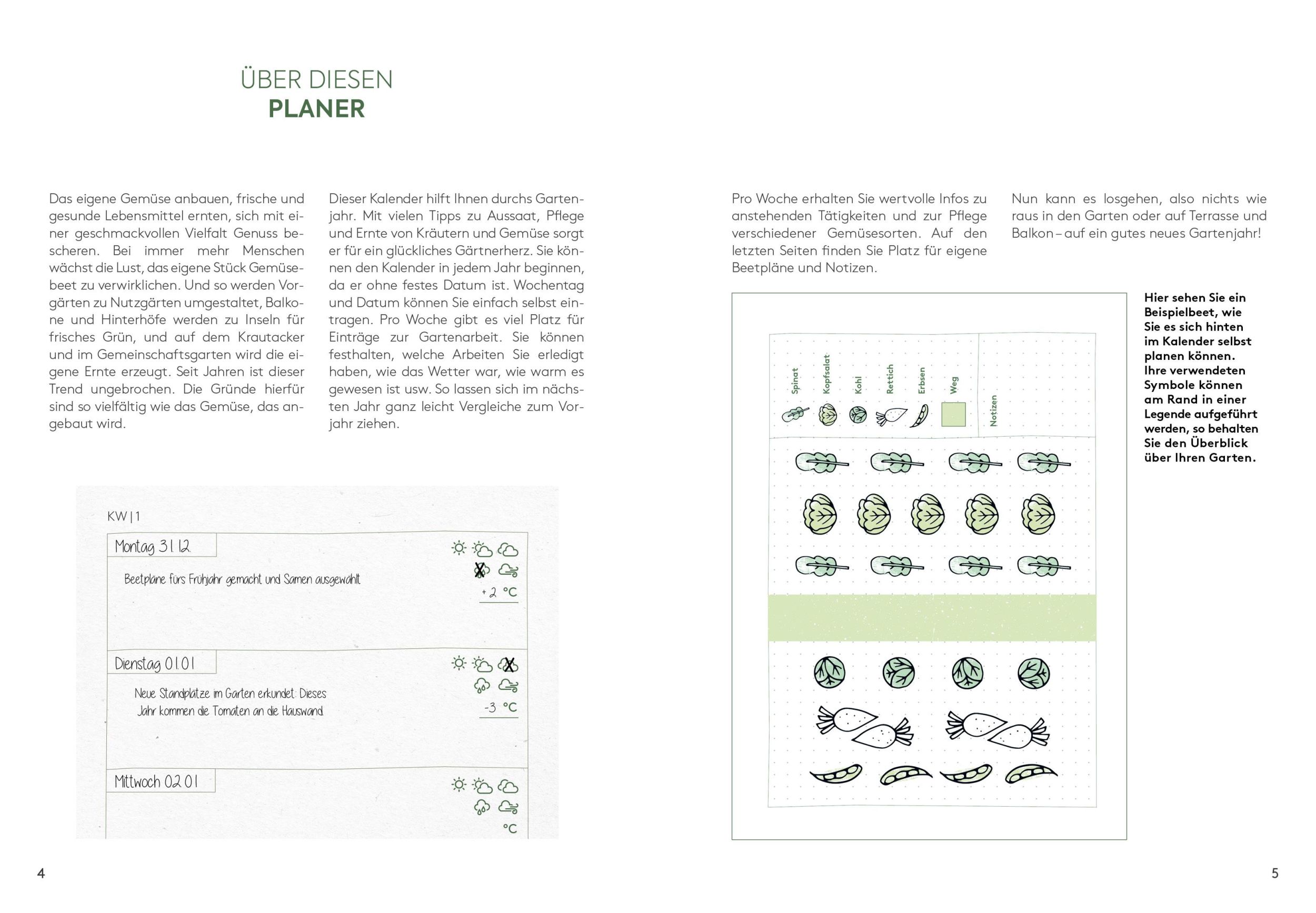 Bild: 9783960932666 | Planen, säen, ernten - Mein Biogemüse-Gartenjahr | Annette Holländer