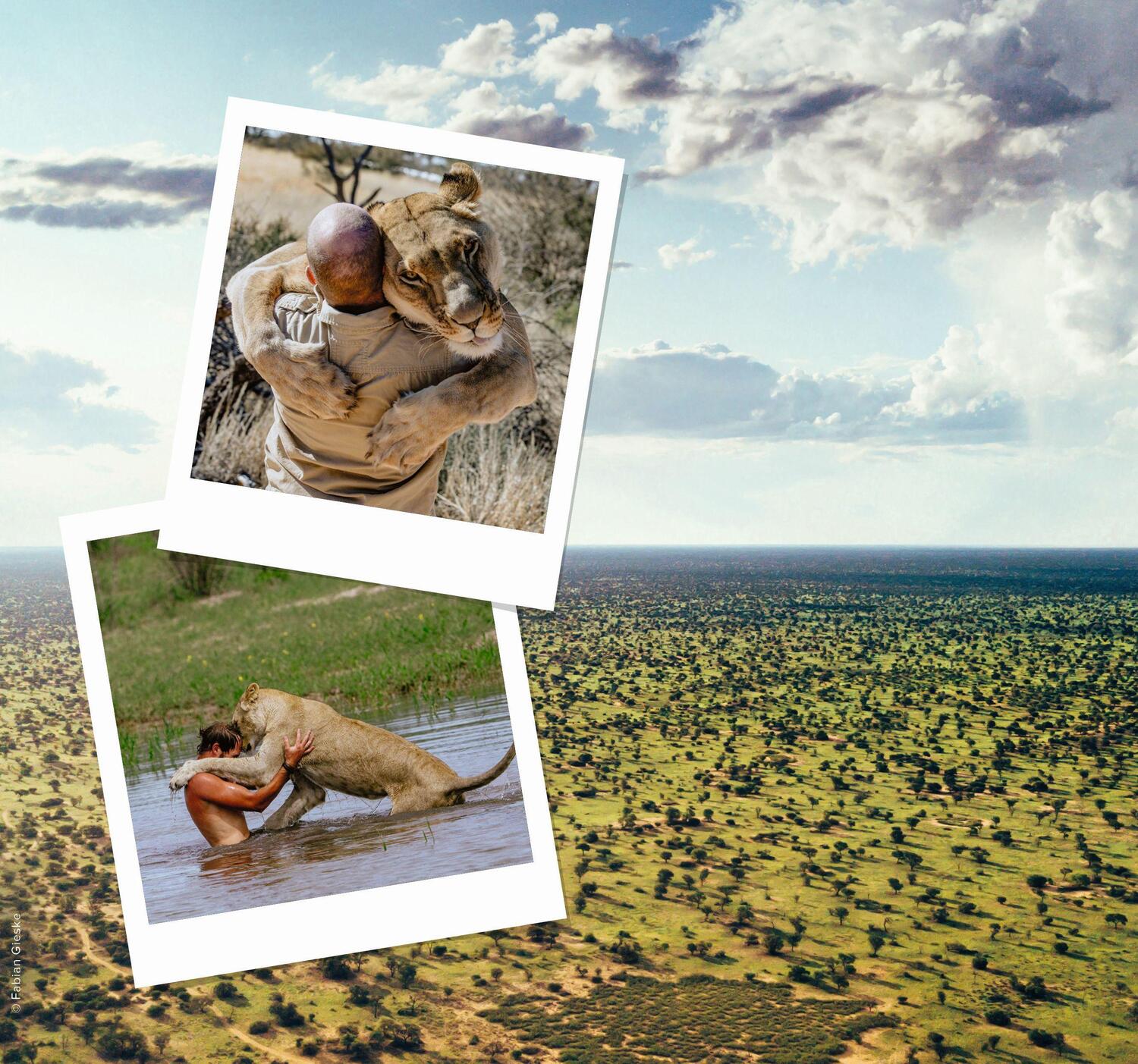 Bild: 9783499007804 | Löwenland | Mein Leben für Afrikas letzte Wildnis | Valentin Grüner