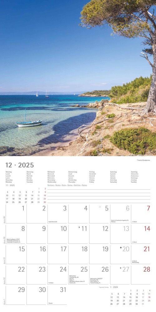 Bild: 4251732340872 | Alpha Edition - Summer Dreams 2025 Broschürenkalender, 30x30cm,...