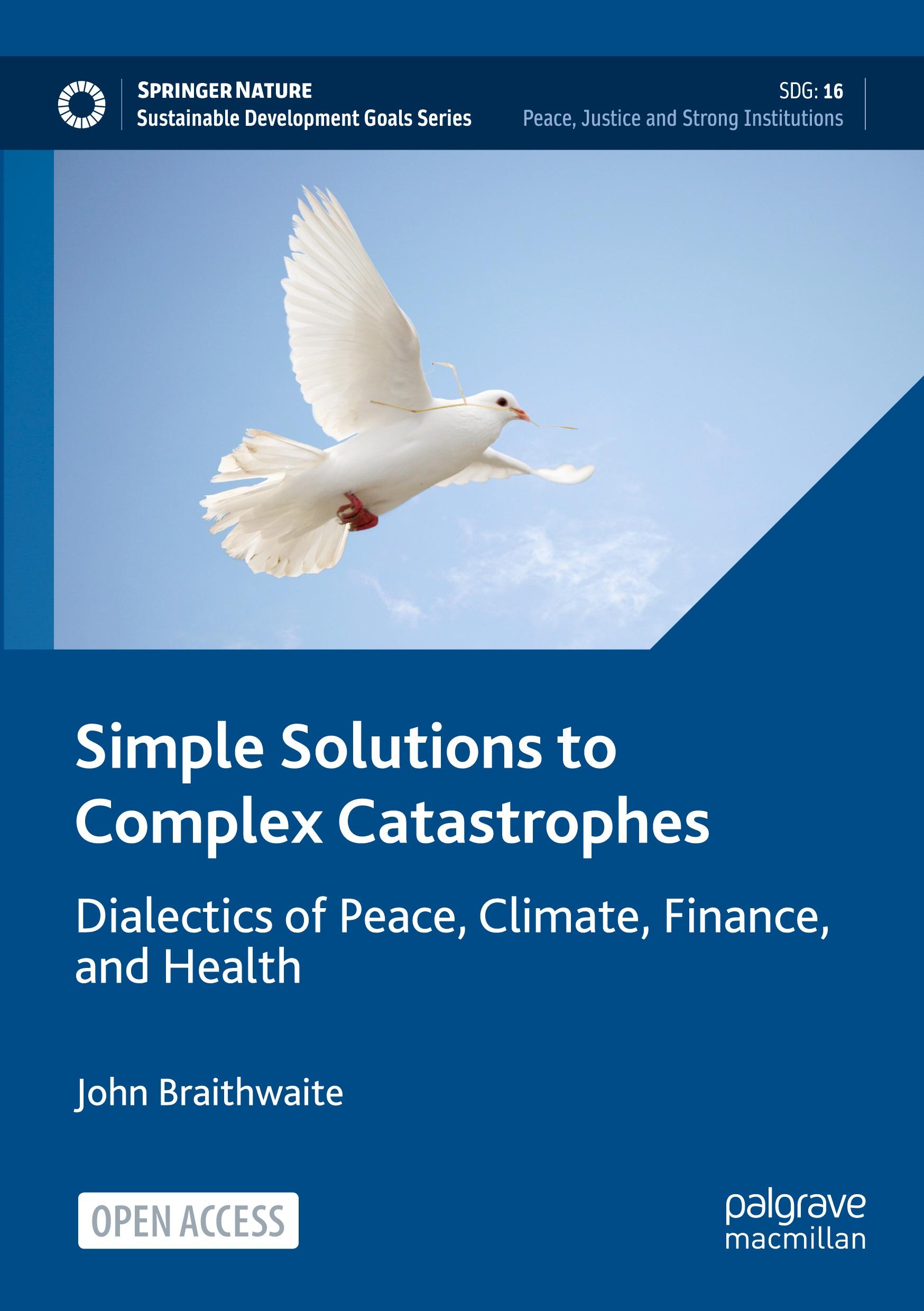 Cover: 9783031487491 | Simple Solutions to Complex Catastrophes | John Braithwaite | Buch