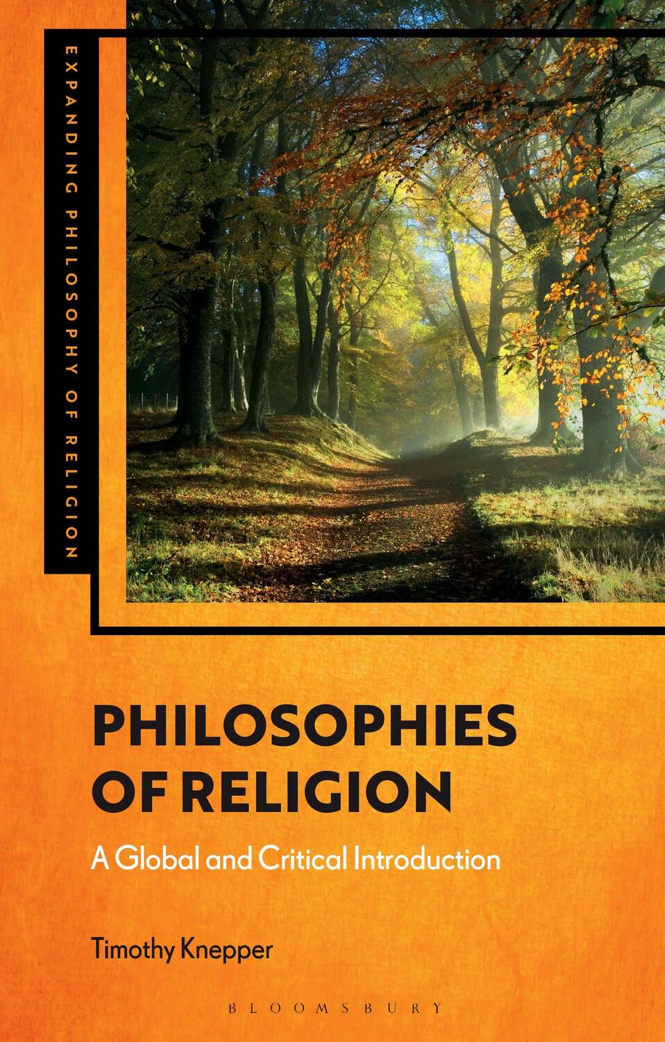 Cover: 9781350262966 | Philosophies of Religion | A Global and Critical Introduction | Buch