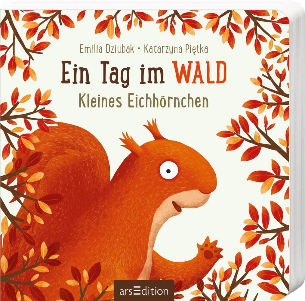 Cover: 9783845851204 | Ein Tag im Wald: Kleines Eichhörnchen | Katarzyna Pietka | Buch | 2022