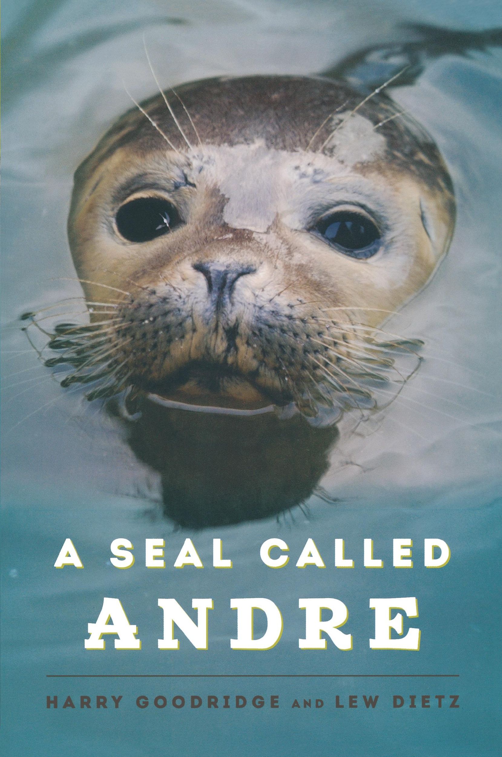 Cover: 9781608932955 | A Seal Called Andre | Harry Goodridge (u. a.) | Taschenbuch | Englisch