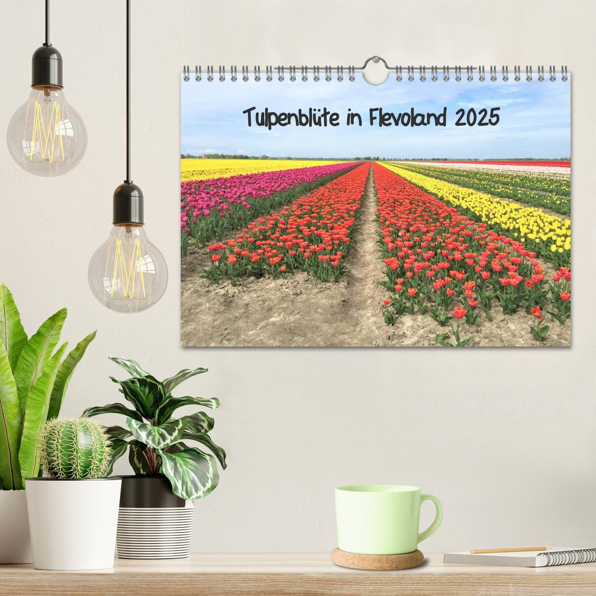 Bild: 9783435261840 | Tulpenblüte in Flevoland 2025 (Wandkalender 2025 DIN A4 quer),...