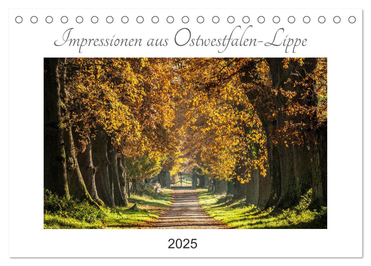 Cover: 9783435154623 | Impressionen aus Ostwestfalen-Lippe (Tischkalender 2025 DIN A5...