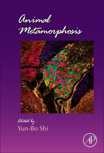 Cover: 9780123859792 | Animal Metamorphosis | Volume 103 | Buch | Englisch | 2013