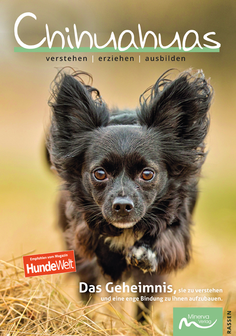 Cover: 9783910503090 | Chihuahuas | verstehen erziehen ausbilden | Claudia de la Motte | Buch