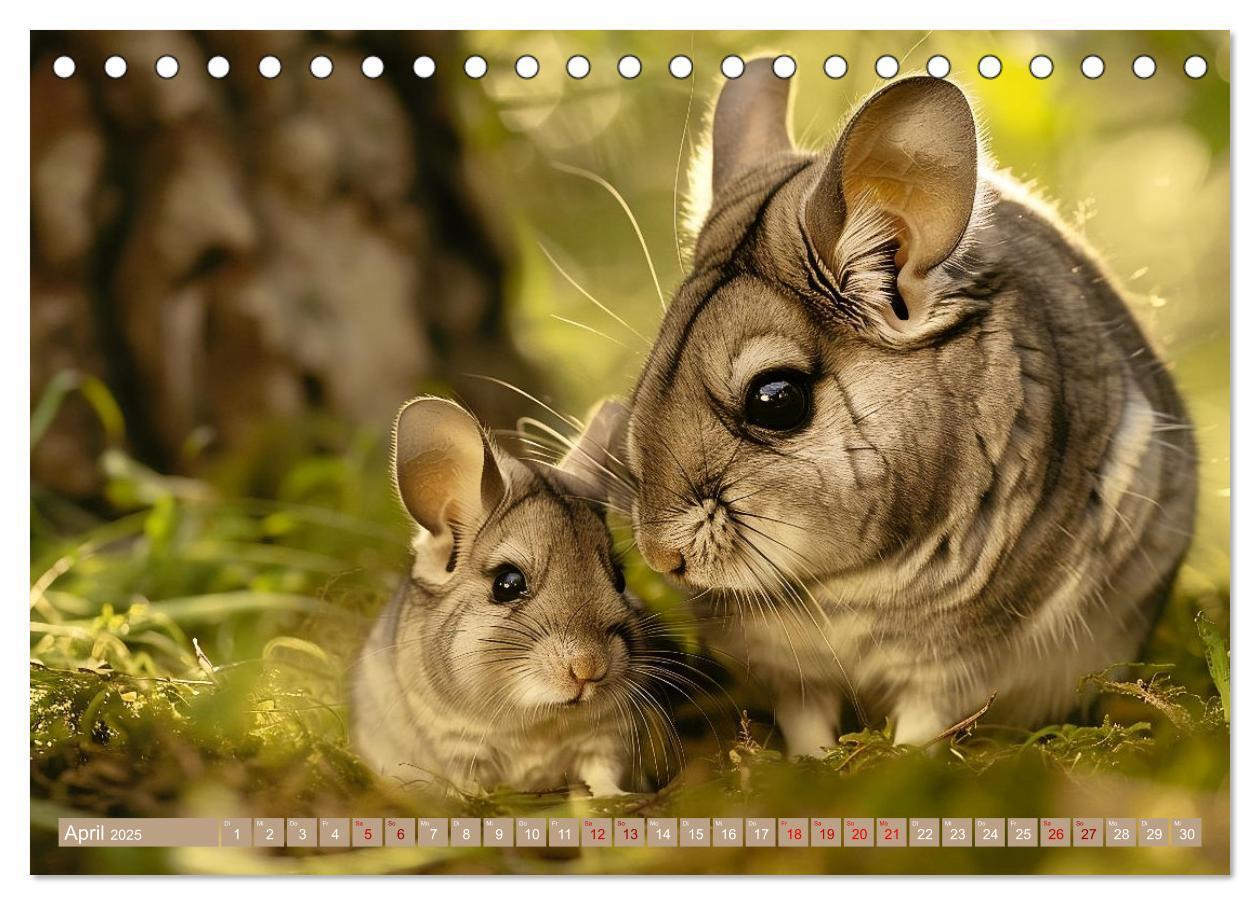 Bild: 9783383791895 | Tierkinder des Südens (Tischkalender 2025 DIN A5 quer), CALVENDO...