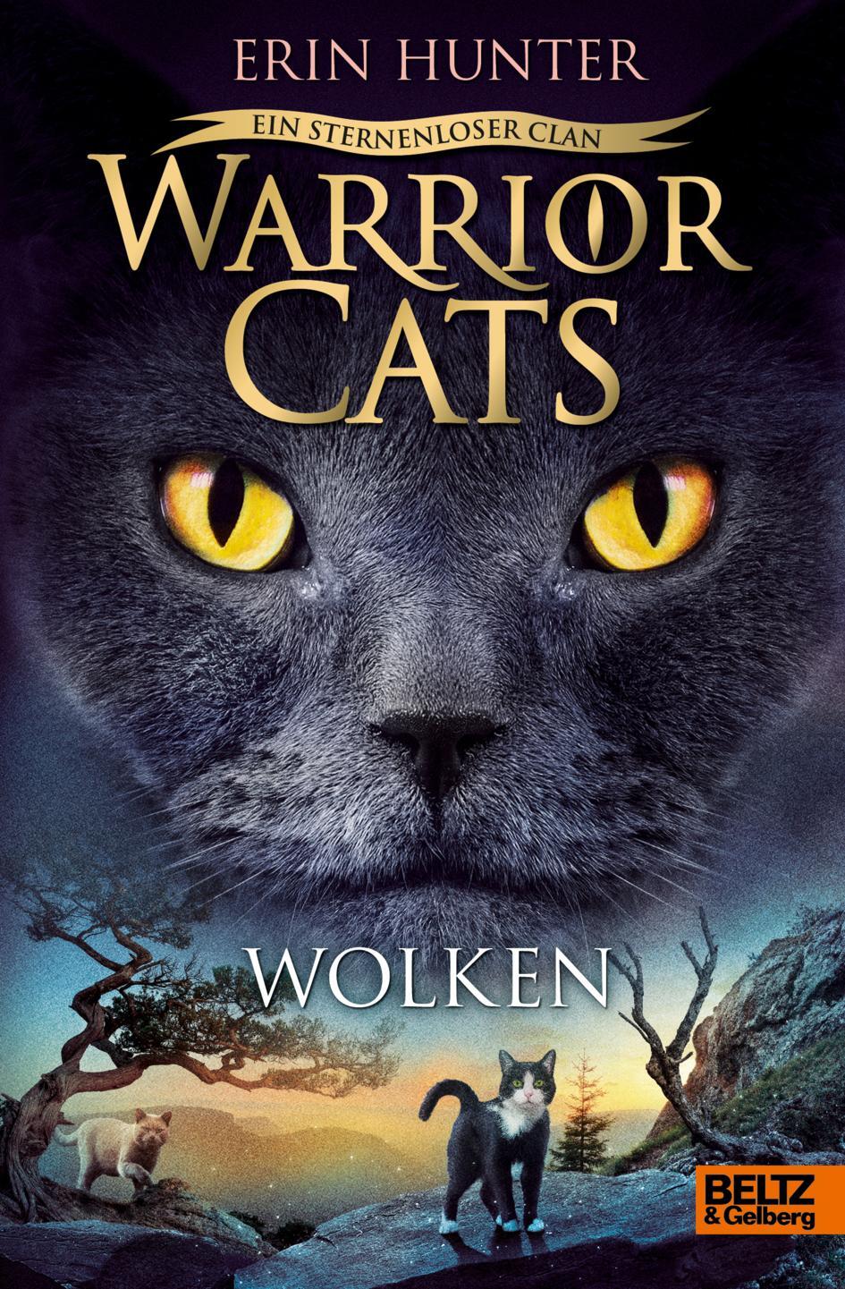 Cover: 9783407757616 | Warrior Cats 8/02. Ein sternenloser Clan. Wolken | Erin Hunter | Buch