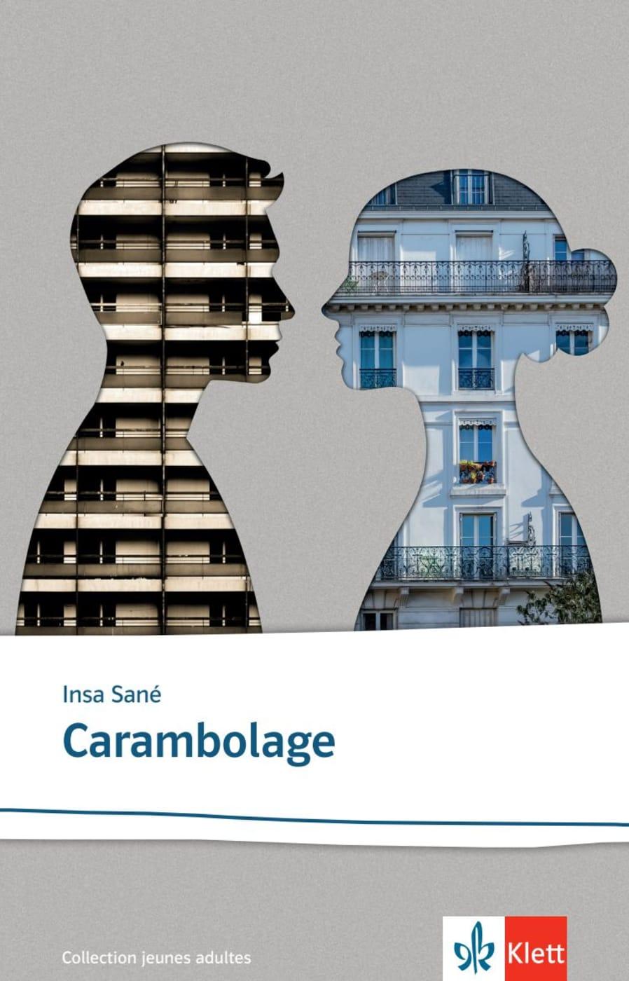 Cover: 9783125923621 | Carambolage | Insa Sané | Taschenbuch | Collection jeunes adultes